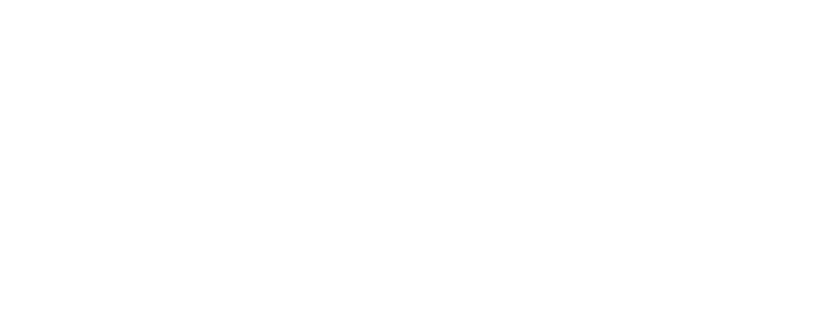 AURUM-INTELLIGENCE-todo-blanco